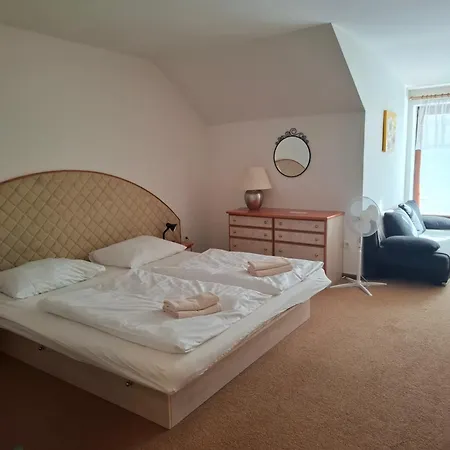 Hotel Borlitz Pohorelice (Brno)