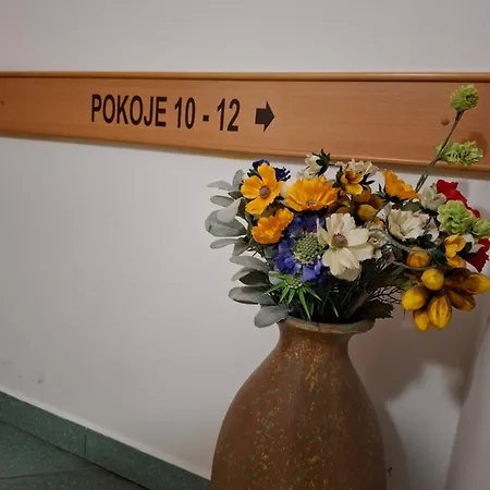 Borlitz Hotel Pohořelice