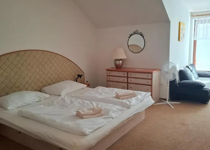 Hotel Borlitz Pohořelice